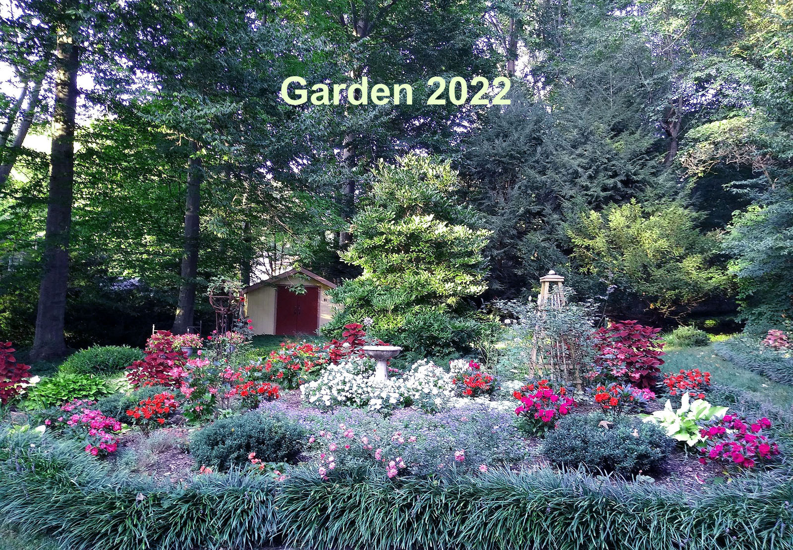 Garden September 2022